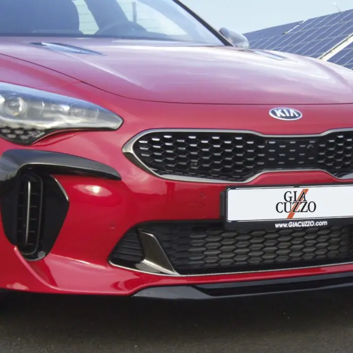 Front-Element Air Intake L&R